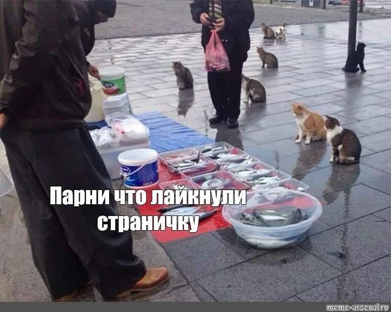 Будем нет проводить. Нет только показываю красивое. мем про мужчину с 40 собаками. драников этому хлопцу мем.