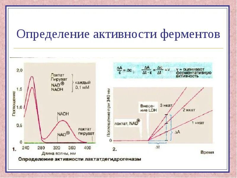 Количественного определения ферментов. Способы измерения активности фермента. Подходы для оценки активности ферментов. Методы измерения активности ферментов. Методы определения активности активности ферментов.