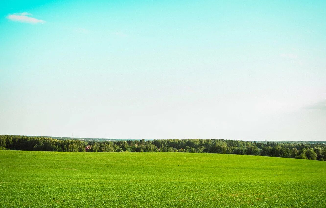 Поле горизонтальный. Ландшафт панорама горизонт. поле панорама. лес на горизонте. поле лес.