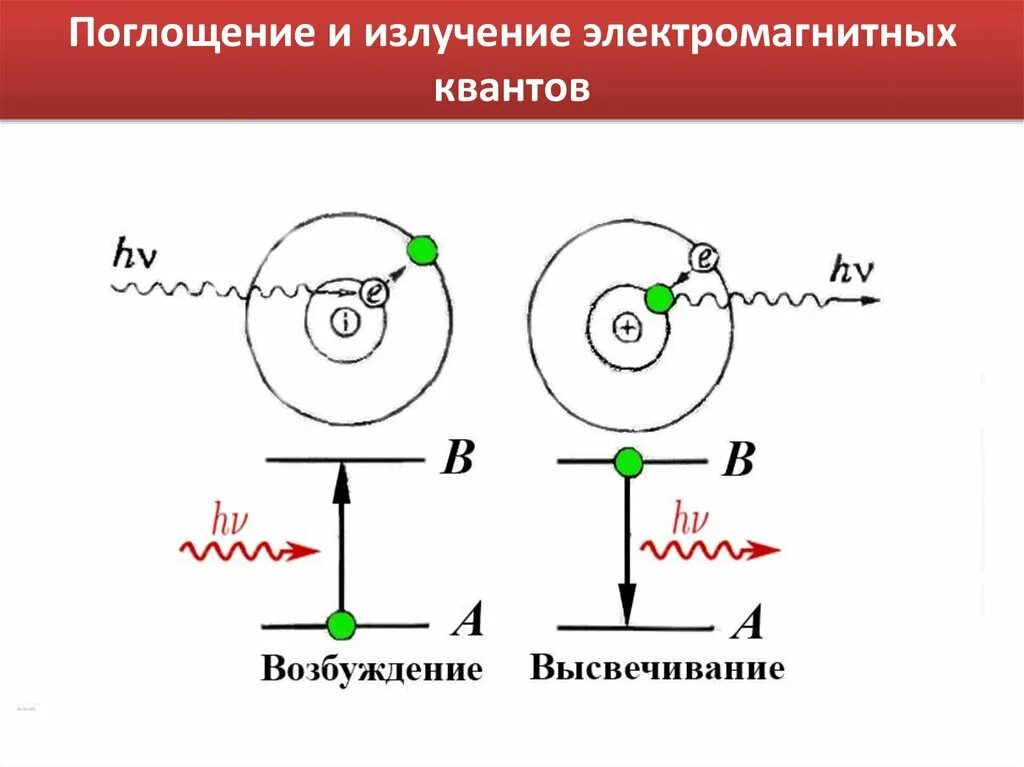 Излучение и поглощение энергии атомом. Поглощение излучения. Поглощение Кванта. Поглощение излучение Квантов. Поглощение и испускание энергии атомами.