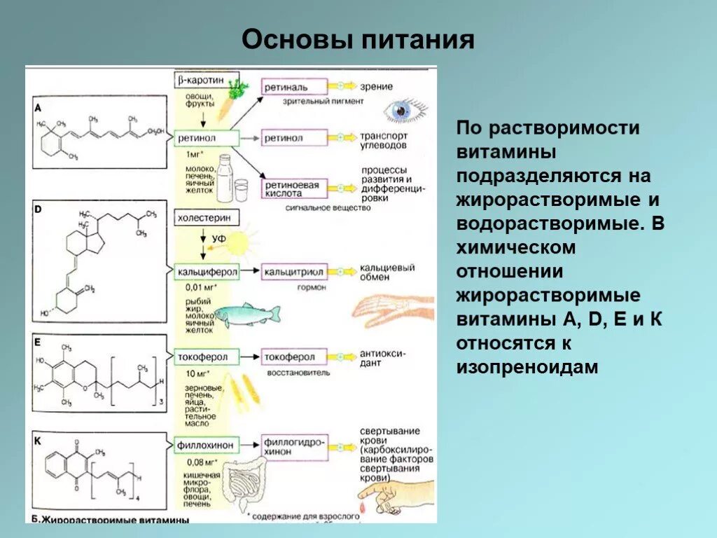 Гигиенические основы физиологии и биохимии питания. Адекватное питание биохимия. Физиология биохимия питание. Физиология биохимия питание. Гигиенические основы физиологии и биохимии питания.