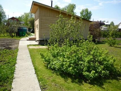 Дом участок в ордынке новосибирская область