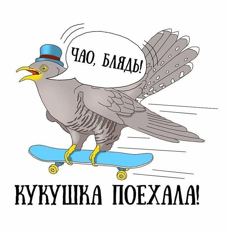 Турагентство кукушка. Кукушка логотип. Турагентство кукушка. Турагентство кукушка. Ресторан кукушка.