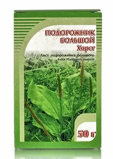 Подорожник трава отзыв