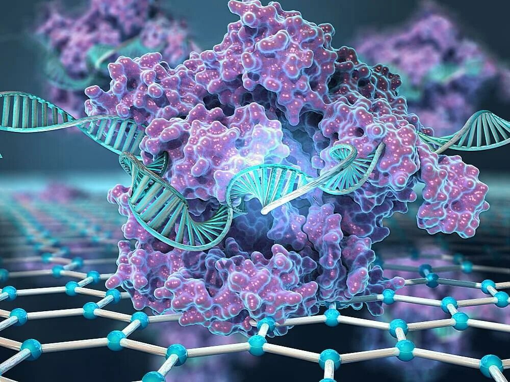 Генетически чистые линии. CRISPR cas9. Генетика CRISPR. CRISPR cas9 технология. Генная инженерия CRISPR.