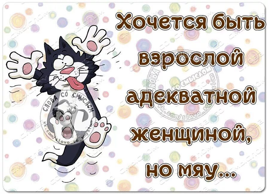 Хочется быть но мяу. Хочется быть взрослой адекватной женщиной. хочется быть взрослой и адекватной но мяу. хочется быть взрослой женщиной но мяу. надпись хочется быть взрослой адекватной женщиной но мяу.