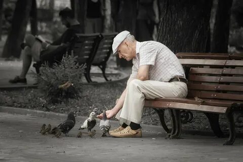 Случайная фотография это