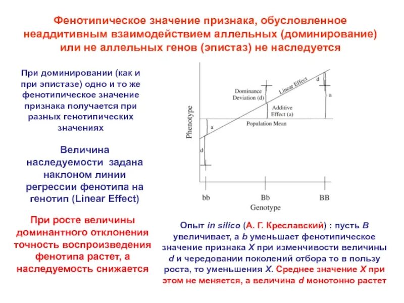 Признаки обусловленные генотипом. Фенотипическое значение признака. Фенотипические особенности. Фенотипическое роста. Точность воспроизведения фенотипа.