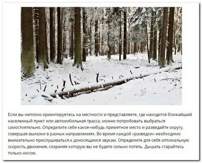 Советы как выжить в лесу