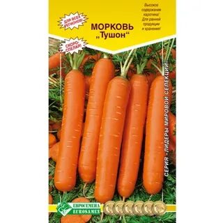 Морковь мо отзывы