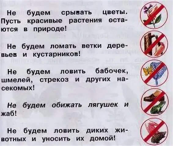 Памятка луг