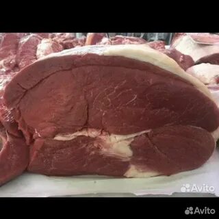 Нога бычка