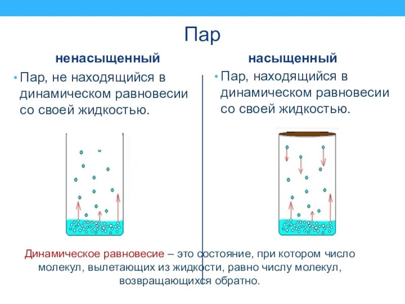 Динамическое равновесие со своей жидкостью. Динамическое равновесие между паром и жидкостью. Насыщенный пар и ненасыщенный пар рисунок. Динамическое равновесие насыщенного пара и жидкости. Динамическое равновесие.