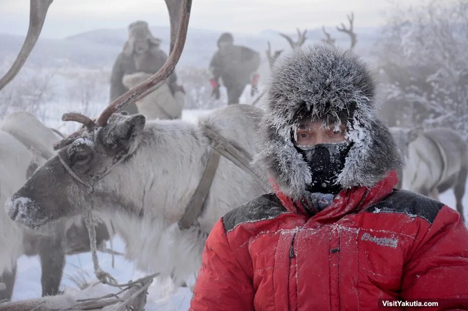 якутия холодно. оймякон -70 полюс холода. полюс холода в якутии. фестиваль полюс холода в оймяконе. 2.