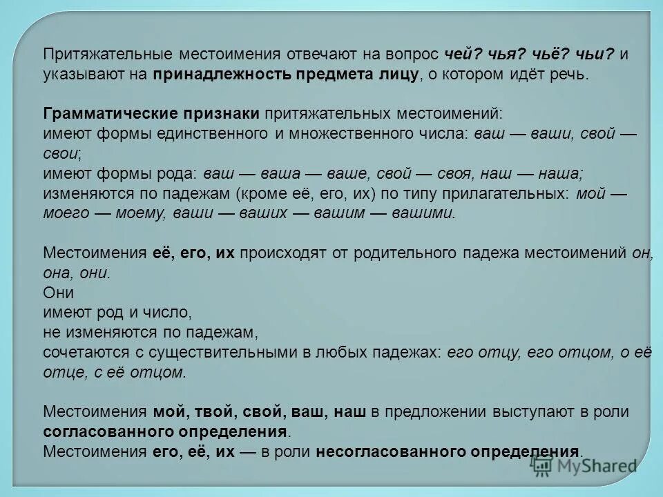 прилагательное отвечающее на вопрос чей. на какие вопросы отвечает прилагательное. на какие вопросы отвечает прилагательное. слова отвечающие на вопрос чья. признаки притяжательных мест.