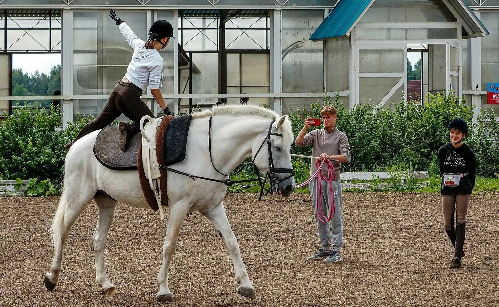 Программы кск. Агротуристический комплекс Богдарня. Богдарня лагерь конный. Богдарня Джона Кописки.