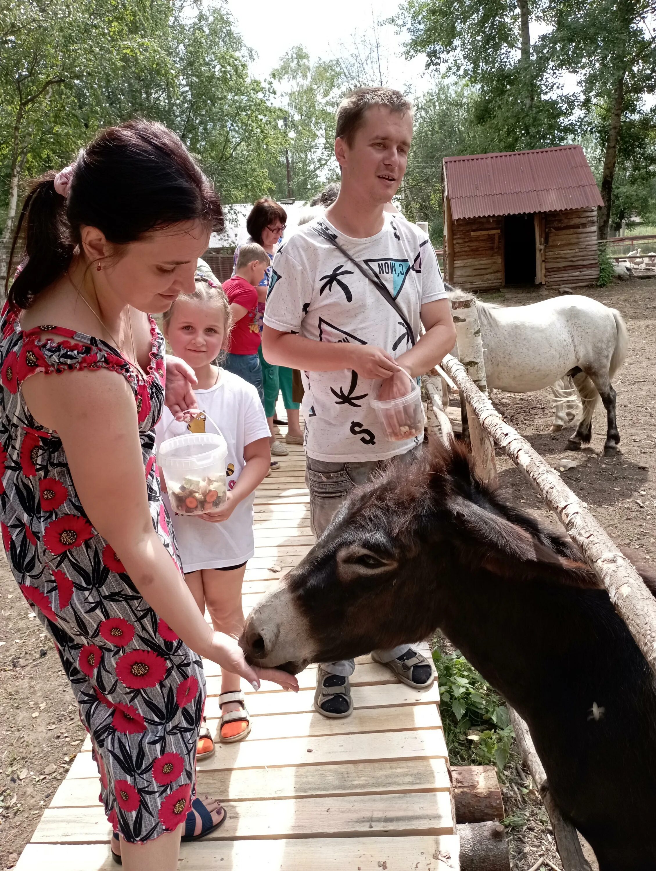 Добрый ивановская область. Парк добрый деревня Кислячиха. Кислячиха Кинешемский район парк добрый. Парк добрый Ивановская область. Парк добрый Кинешма.