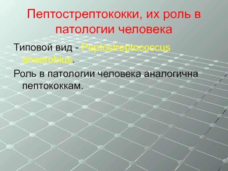Peptostreptococcus spp
