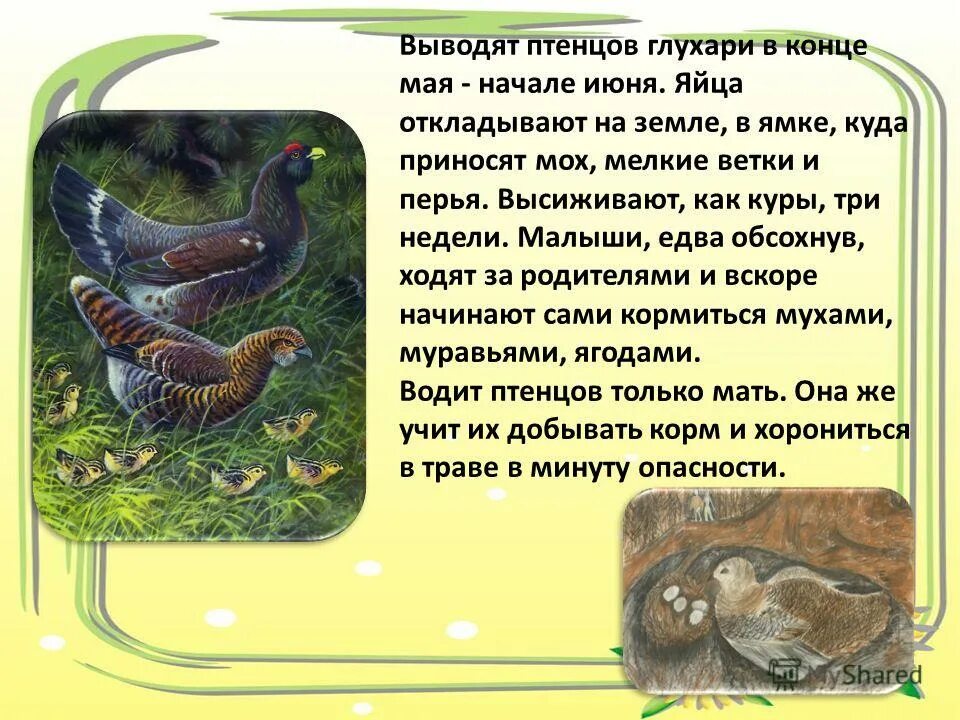 Конспект урока литературного чтения 3 класс капалуха. Конспект урока литературного чтения 3 класс капалуха. Конспект урока литературного чтения 3 класс капалуха. Конспект урока литературного чтения 3 класс капалуха. Конспект урока литературного чтения 3 класс капалуха.
