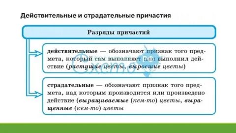 Постоянные признаки страдательного причастия