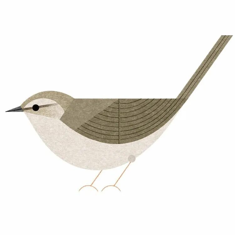 Bird shape