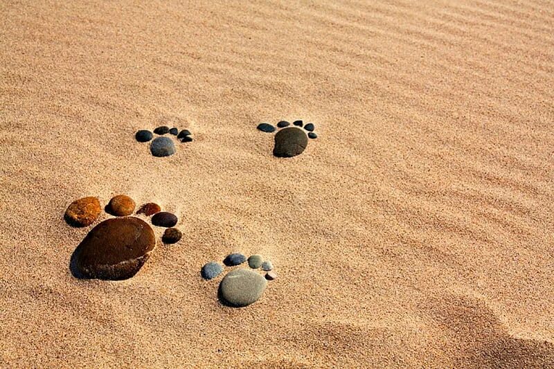 Маленькая песчинка. Маленькие шаги на песке. Следы на песке. На песке следы маленькие. Картина шаги на песке.