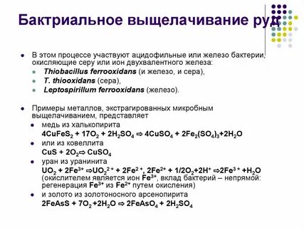 Деятельность бактерий