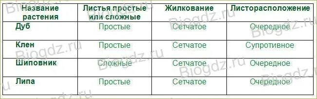 Биология 6 класс параграф 25 таблица. Листья простые и сложные их жилкование и листорасположение. Листья простые и сложные их жилкование и листорасположение таблица. Заполните таблицу строение листьев у разных растений. Таблица по биологии внешнее строение листа.