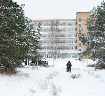 Сосновый бор солотча