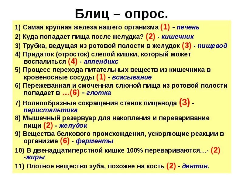 Блиц значение. Блиц-опрос вопросы. Опрос и блиц опрос. Блиц-опрос вопросы для детей. Блиц.