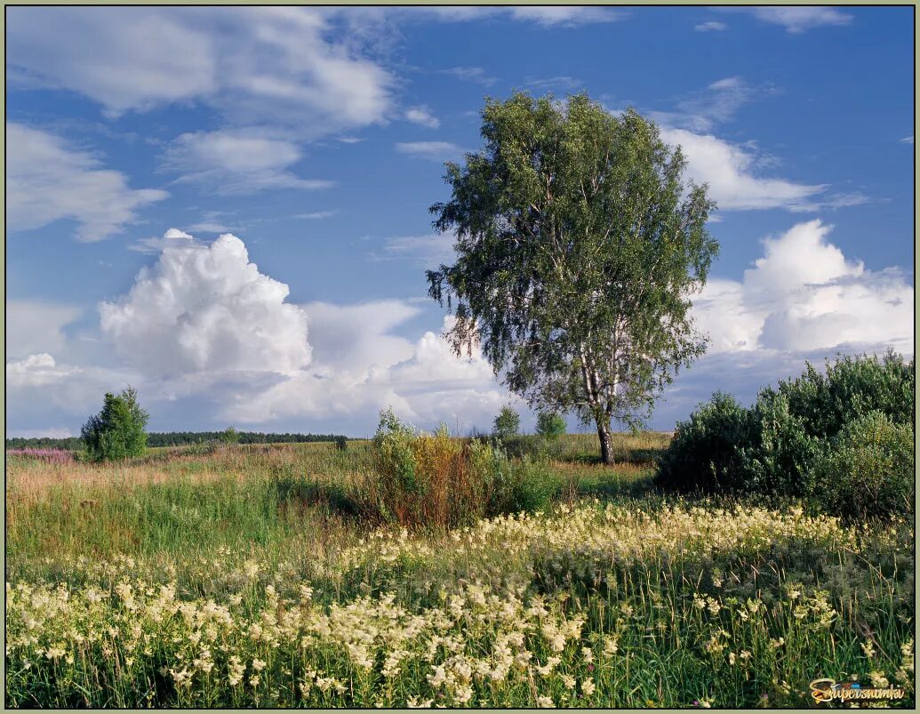 Пластов аркадий александрович (1893 - 1972). Стоял полдень. Май полдень подмосковье. Солнечный полдень. Солнечное небо.