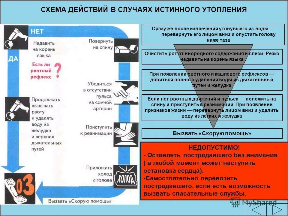 в случае если истинный. действия в случаях истинного утопления. памятка по профилактике утопления. операции над высказываниями. схема действий в случае бледного утопления.