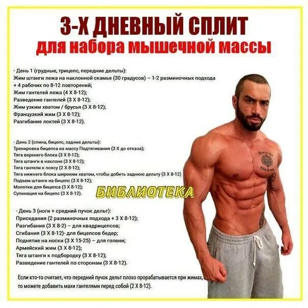 Тренировка для роста массы. План тренировок для набора мышечной массы. программа тренировок для набора массы. упражнения для набора мышц. план тренировок для набора мышц.