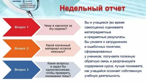 Недельный отчет