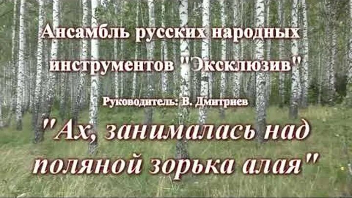 Занялась зорька алая. Над полями Зорька алая Садко. Садко - занималась Зорька. Над полями Зорька светлая Бардин. Занималась над полями Зорька.