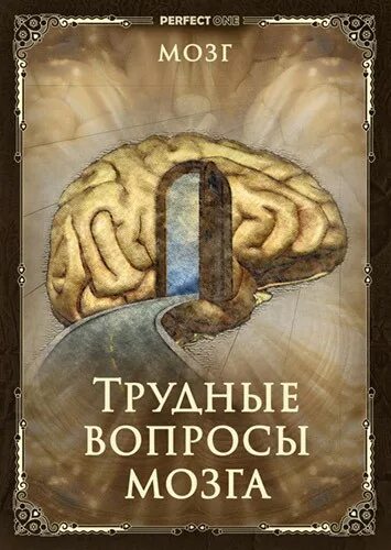 Программа мозги