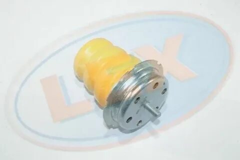 Lex 15
