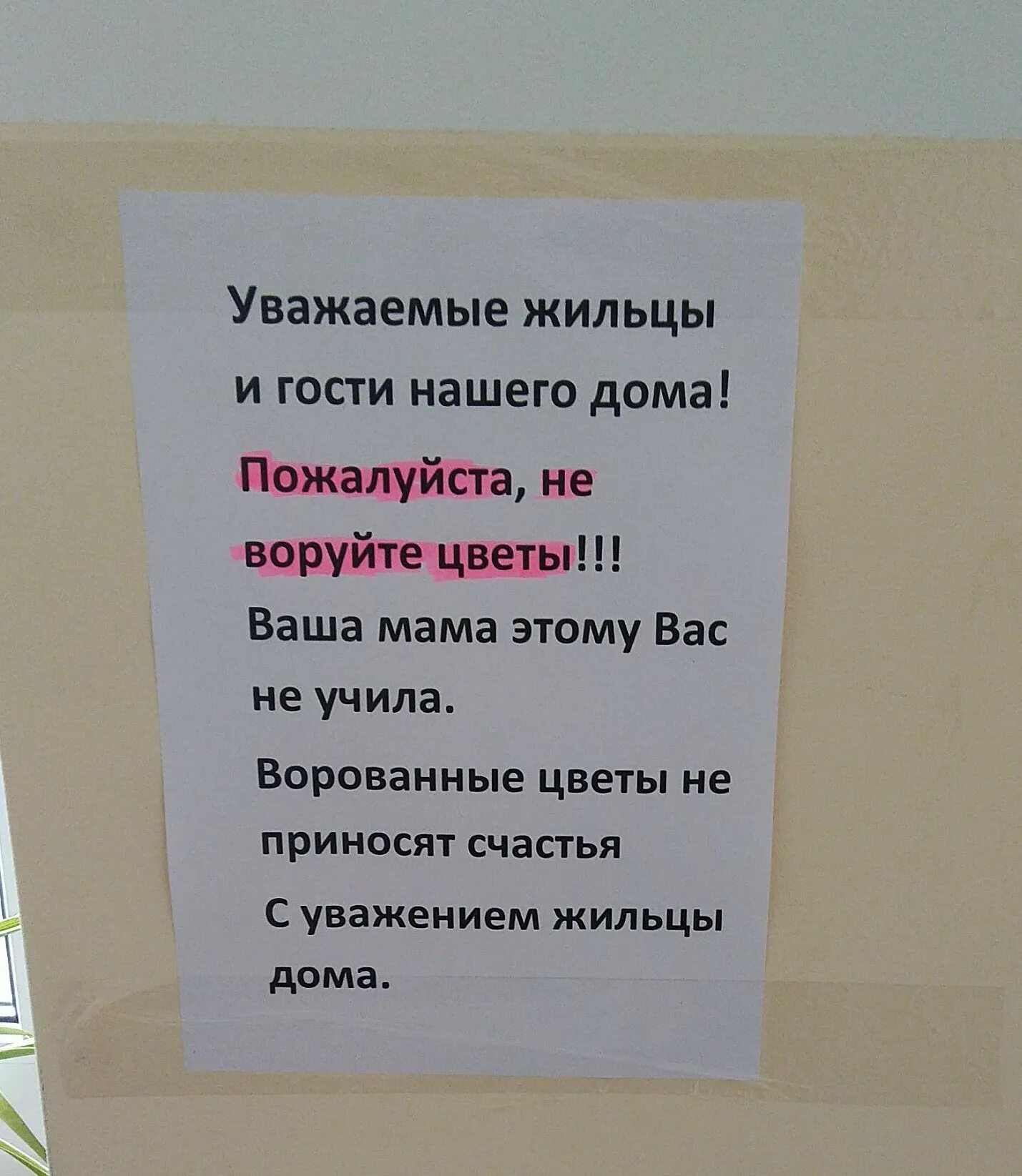 Уважаемые жильцы и гости нашего дома. Объявление о цветах в подъезде. Объявление для воров в подъезде. Уважаемые жильцы и гости подъезда. Украли в подъезде