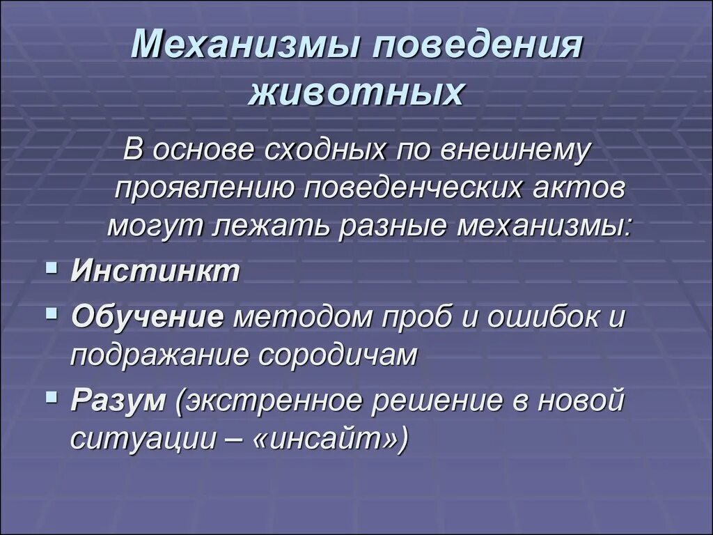 Основу поведения человека составляют. Механизмы поведения животных. Механизмы инстинктов животных. Рассудочная деятельность животных. Формы поведения животных.