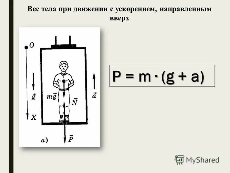 Вес тела p p h. Вес тела p p h