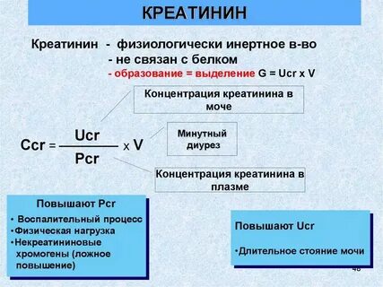 Повышен креатинин моча в норме
