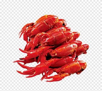 Красные морепродукты