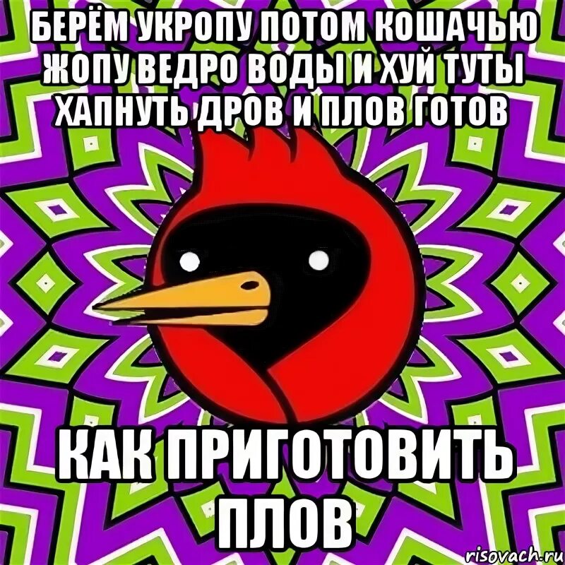 Берем чуть чуть укропу потом кошачью. Берем укропу. Укропу потом кошачью. Сначала укропу потом кошачью. Ведро воды и плов готов