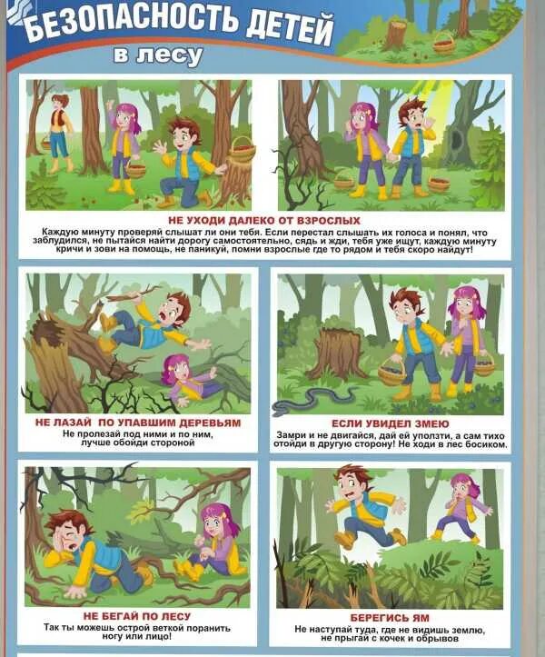 Безопасность в лесу для детей. Привали поведения в лесу. Безопасность в лесу для дошкольников. Правило безопасного поведения в лесу. Безопасность на отдыхе на природе