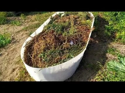 Теплая грядка для огурца