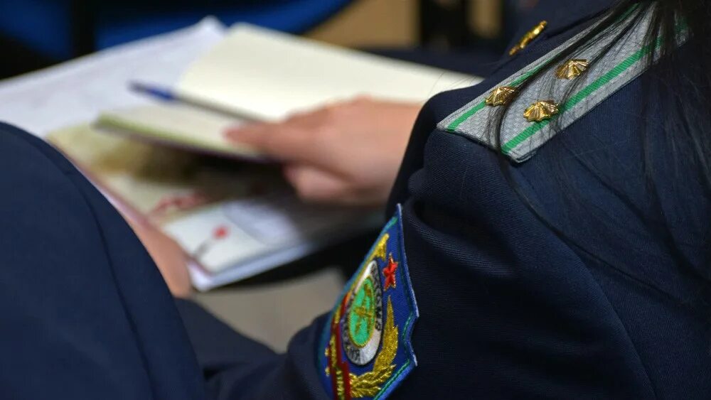 Таможенная правоохранительная служба. Таможенные органы. таможня правоохранительный орган. правоохранительная деятельность таможни. правоохранительные органы таможенной службы.