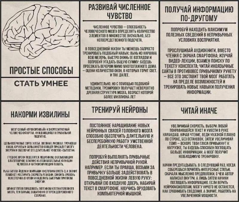 Как стать умным человеком. Способы как стать умнее. способы развития мозга. мозг статьи. как стать умнее и повысить уровень интеллекта и памяти.