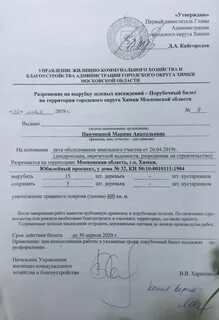 Выдача разрешения на вырубку деревьев