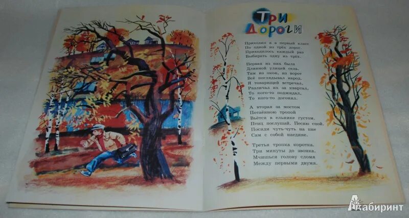 Бересты урок листопада. Бересты урок листопада