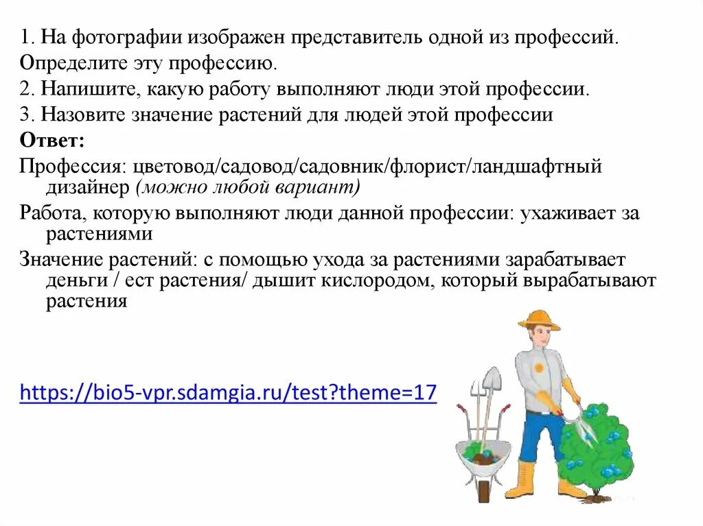 Чем повар полезен обществу 4 класс впр. Профессия садовник. Какую работу выполняют люди своей профессии. Какую работу выполняют люди профессии садовник. Чем полезна профессия садовника.